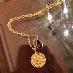 Amethyst February Birthstone Astrology Necklace